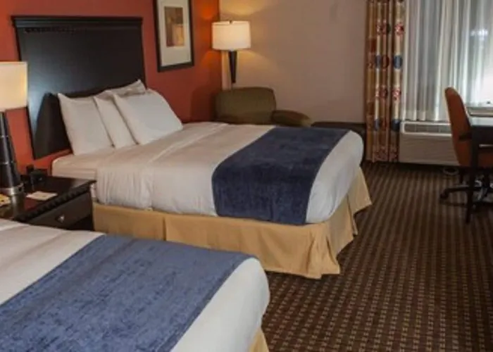 Conference Center And 3*